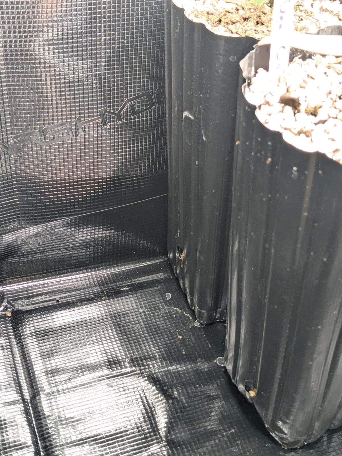 MARS HYDRO 6 Tier Indoor Garden System with 225W Full Spectrum LED Lights customer photo 1