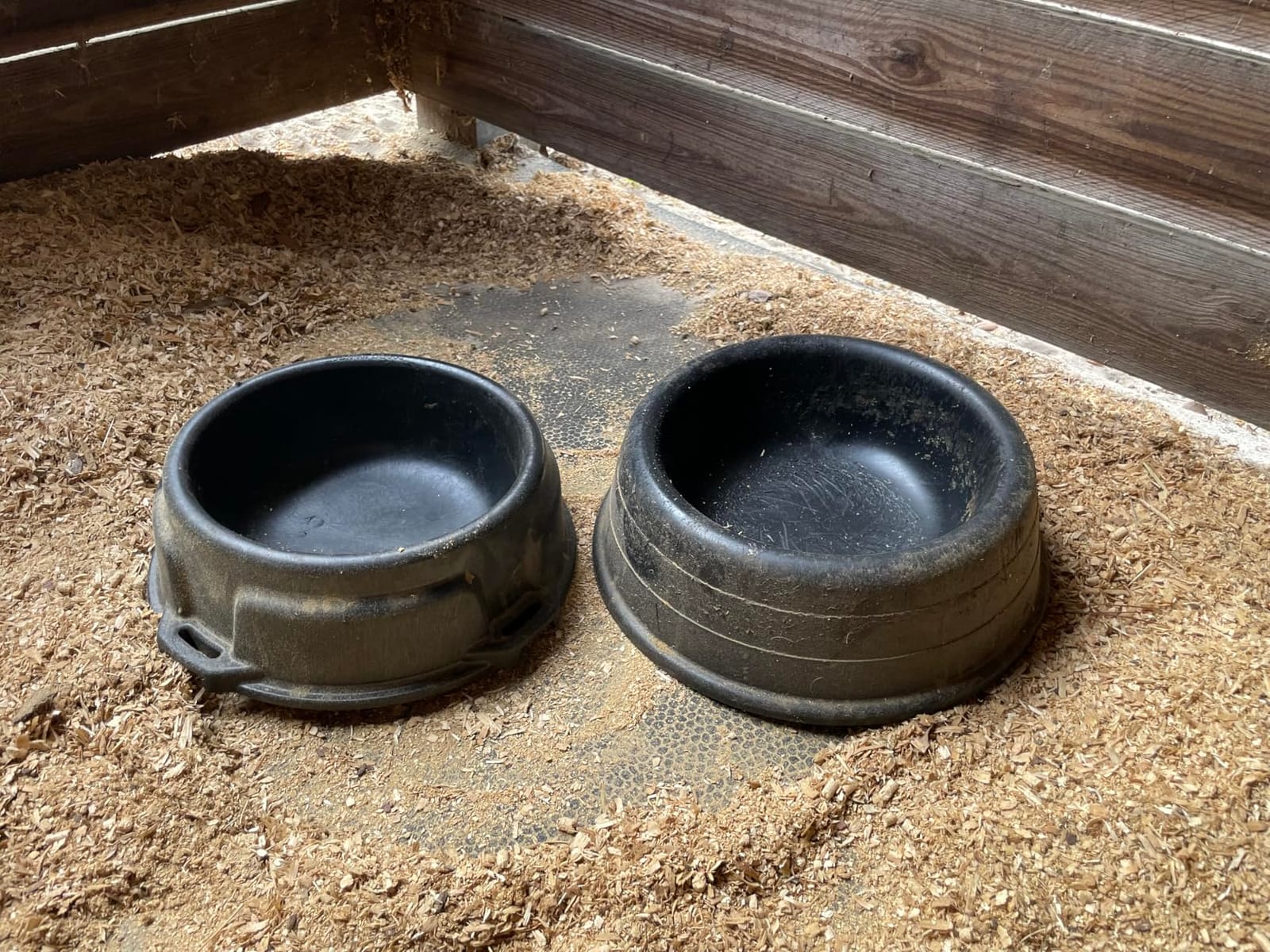 Rubbermaid Commercial Products Brute 6-Gallon Animal Pan Feeder, RigidCell Construction, Stackable Livestock Feed Bowl, Made in USA customer photo 2
