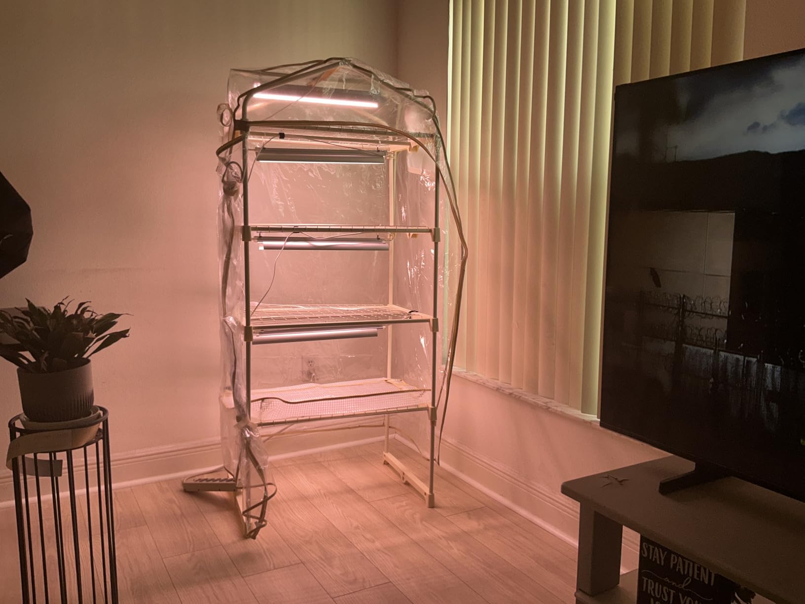 Indoor Greenhouse with Grow Light, 4-Tier Plant Shelf, 39x19x63in customer photo 1