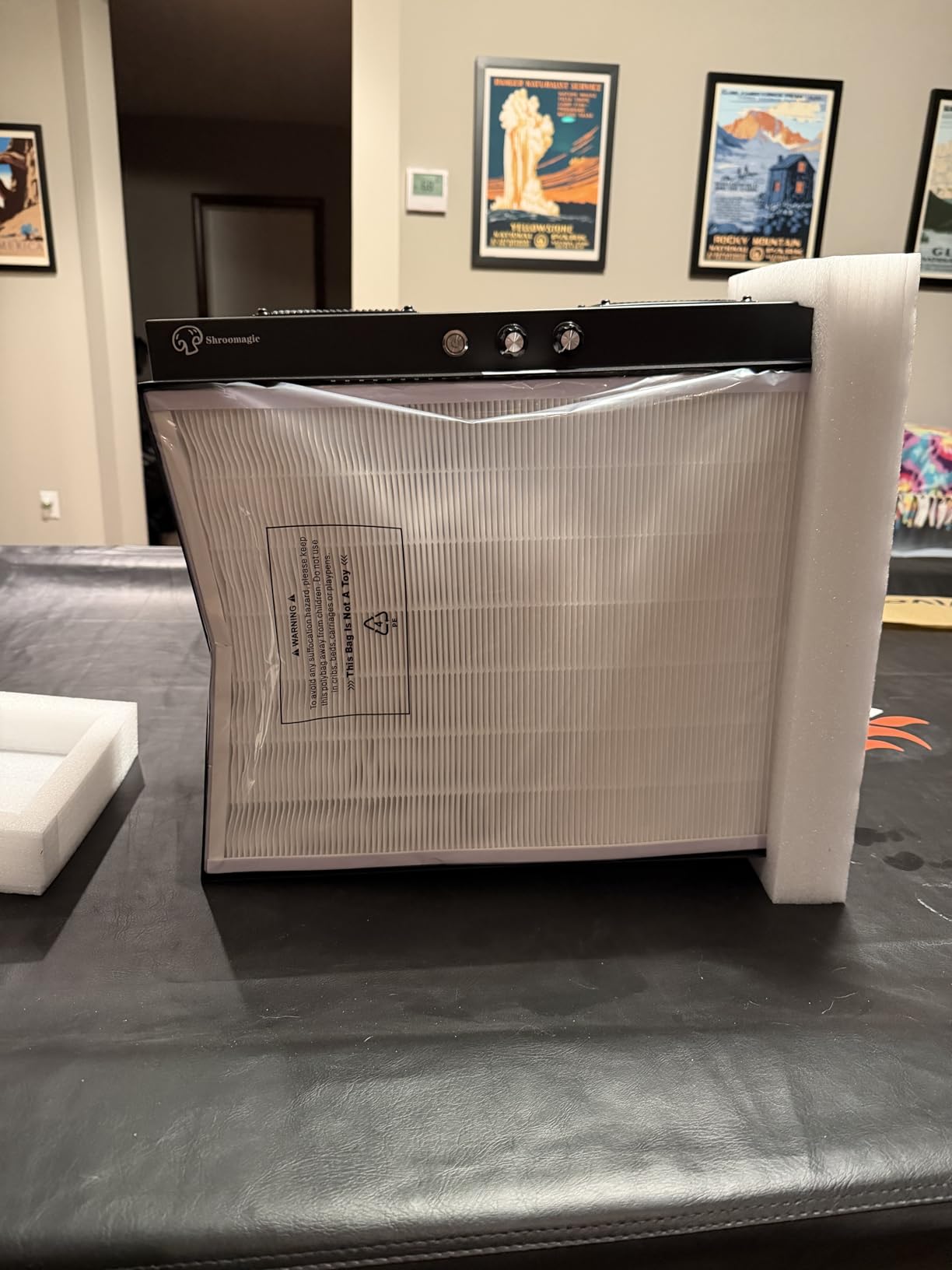 Laminar Flow Hood with H13 HEPA Filter (20