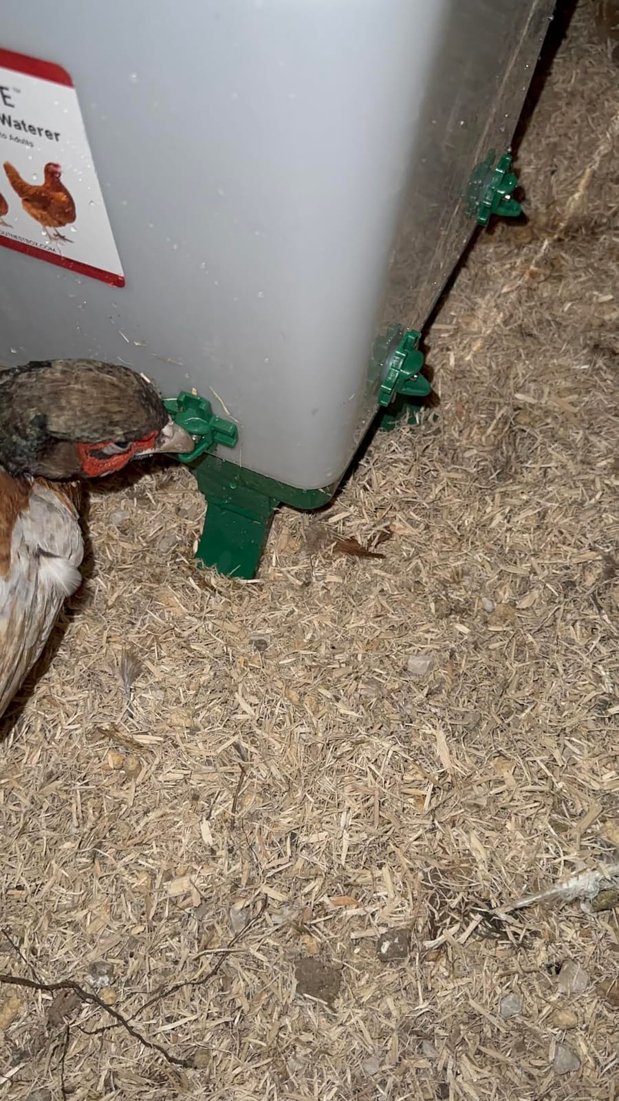 Hen's Choice 5 Gallon Chicken Waterer with 8 Drinker Nipples, Anti-Roost Lid, Top Fill Design, Heavy Duty Legs customer photo 1