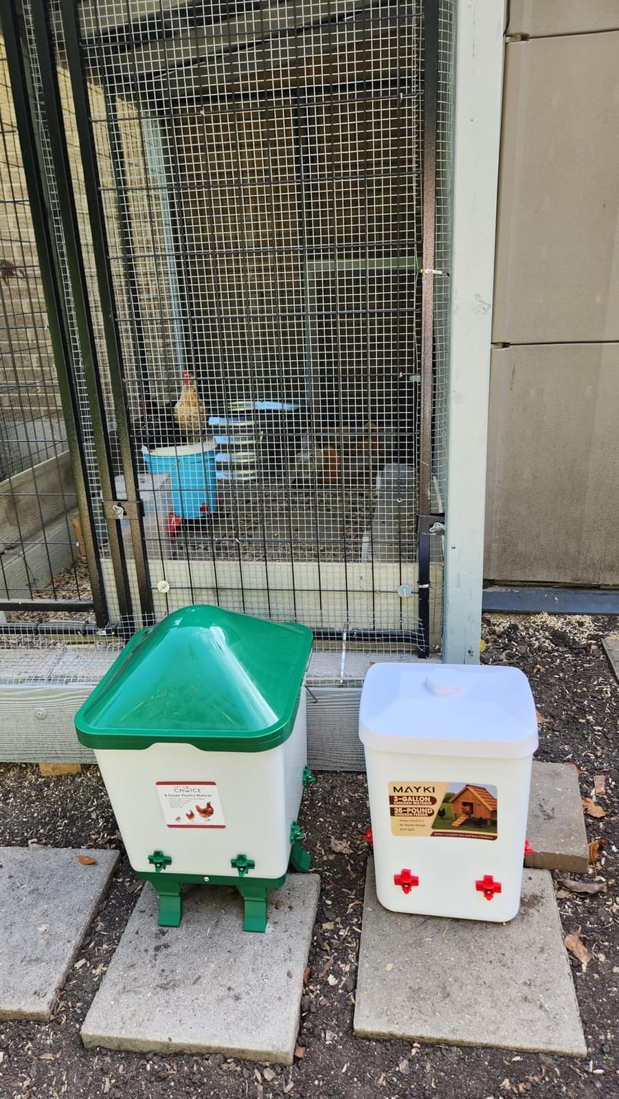 Hen's Choice 5 Gallon Chicken Waterer with 8 Drinker Nipples, Anti-Roost Lid, Top Fill Design, Heavy Duty Legs customer photo 2