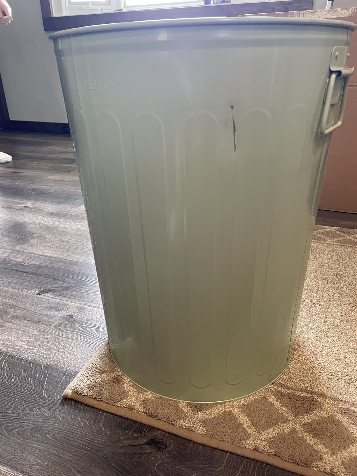 Plexon 20 Gallon Metal Trash Can with Lid Outdoor Large Trash Bin Galvanized Steel Garbage Can for Farm Garage Patio Ash Bucket Bird Seed Storage Can Heavy Duty Round Container, 3 Pack customer photo 1