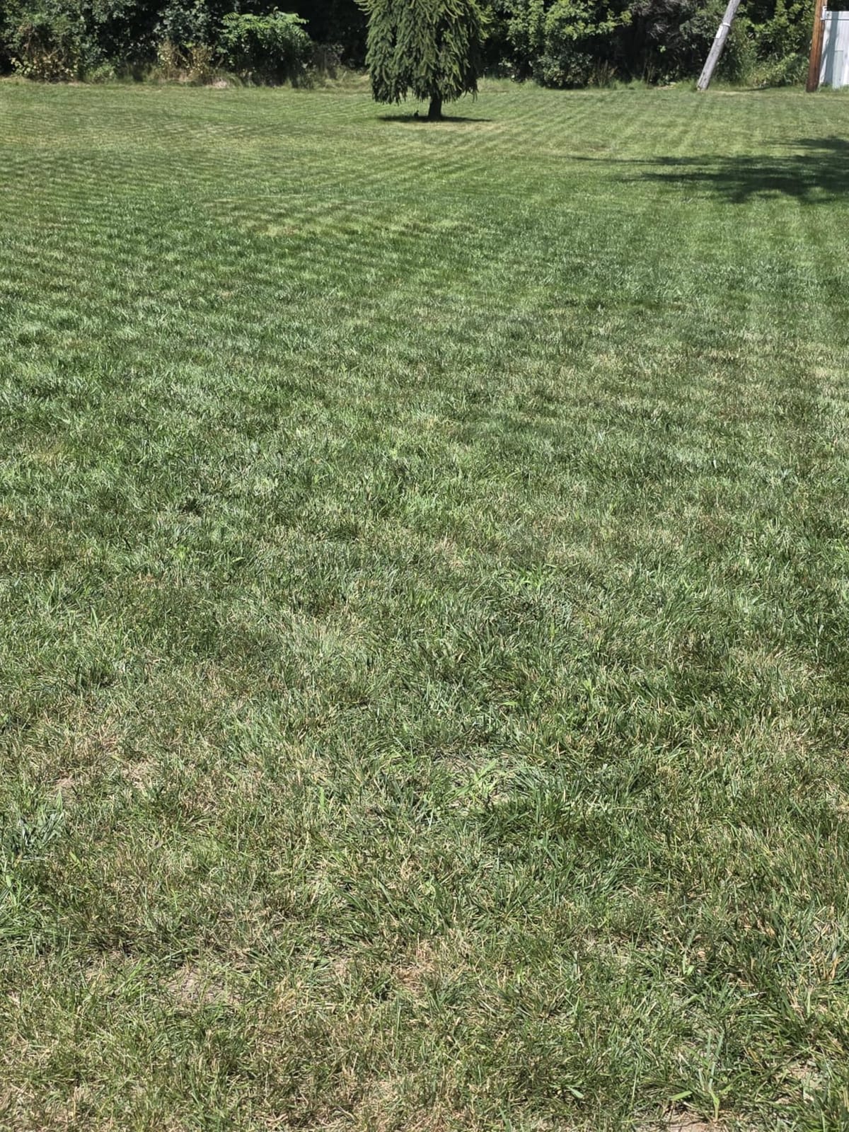Sunseeker X5 AWD Robot Lawn Mower, RTK, Vision AI, 0.5 Acre, Wire-Free customer photo 2