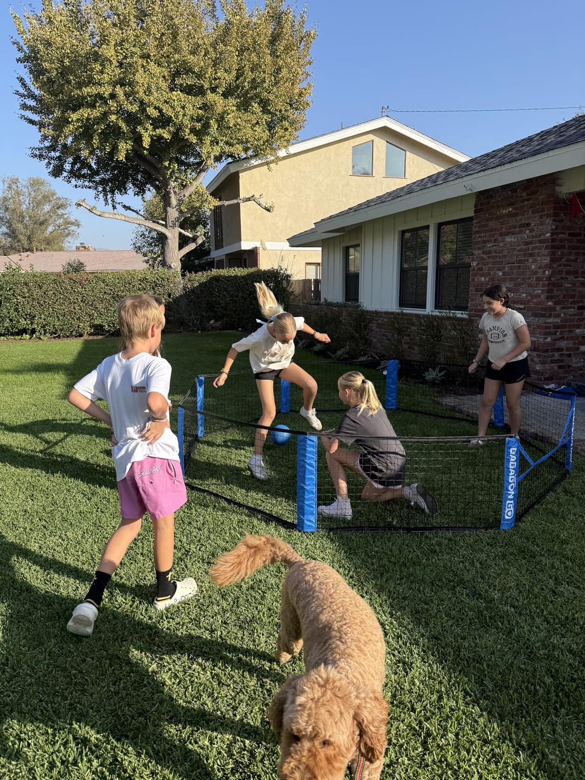 GoSports 10 ft Gagagon Go Portable Gaga Ball Pit customer photo 2