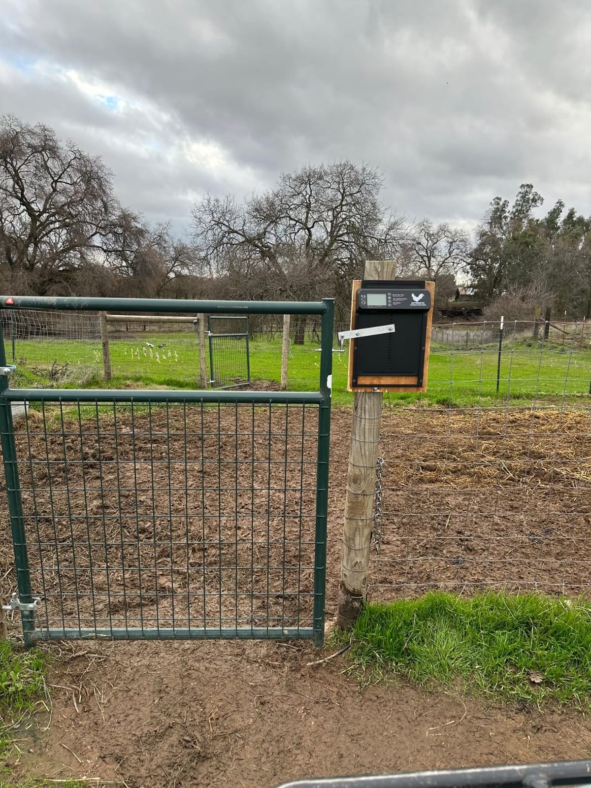INNOLAND Large Size Automatic Chicken Coop Door - Reinforced Gear Drive | Anti-Pinch Automatic Chicken Door, Timer & Manual Mode, Battery Powered Chicken Coop Door, Aluminum Alloy & External Track customer photo 2