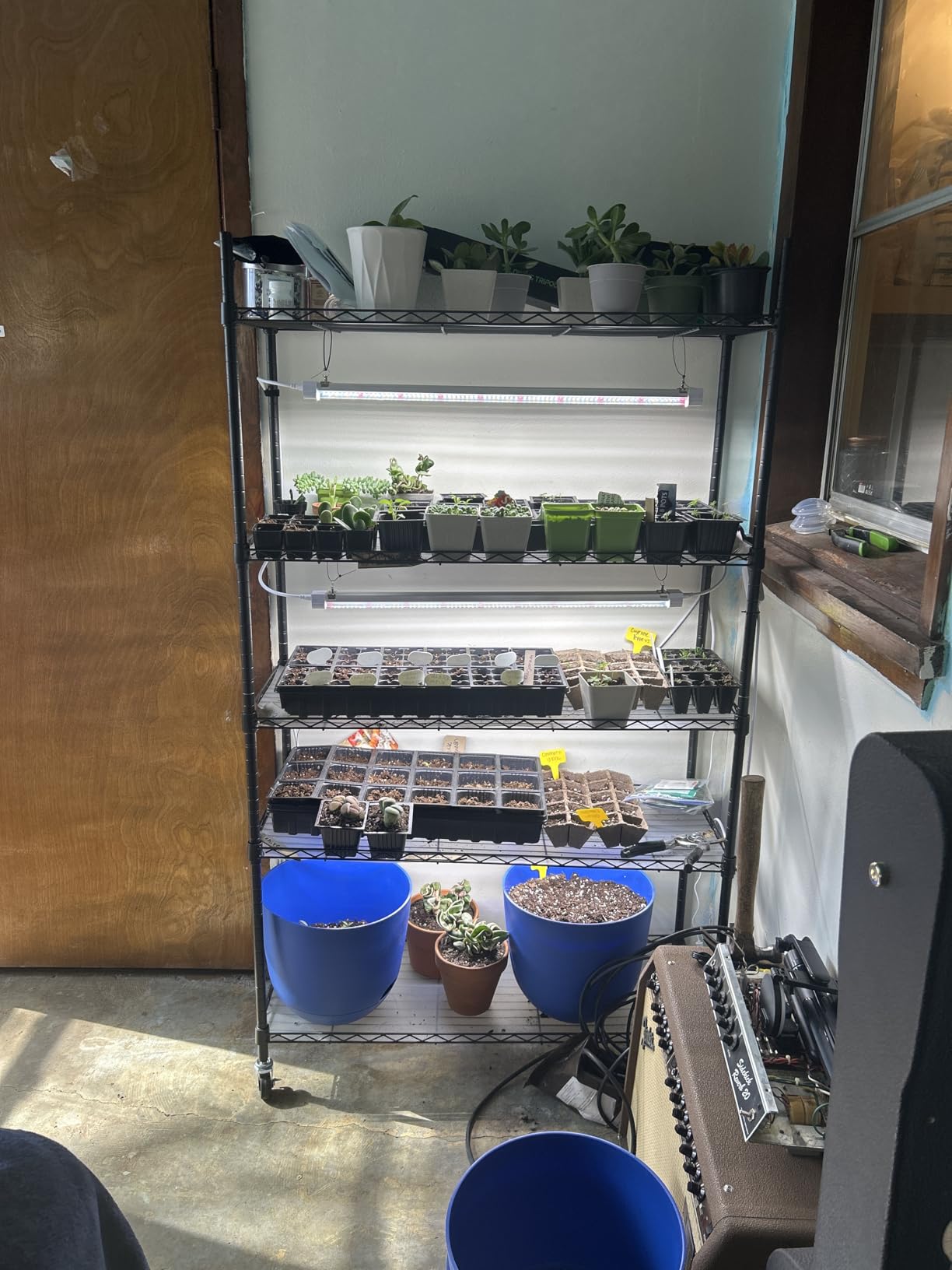 FREELICHT Plant Stand with Grow Light 5-Tier, 4×30W 5000K, 35.4x13.8x61.5IN customer photo 1