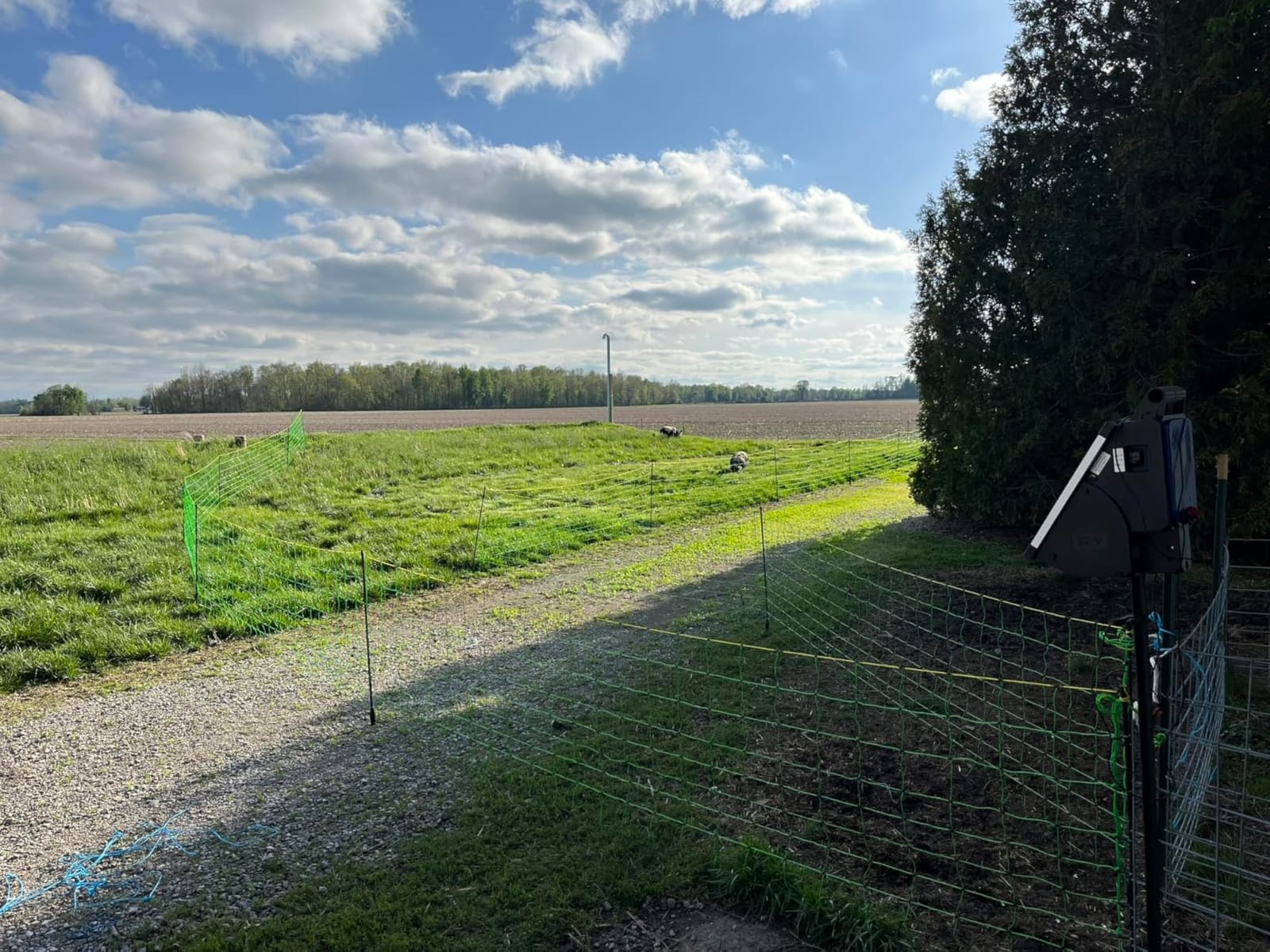 Electric Fence Netting, Electric Netting Fence 35.4