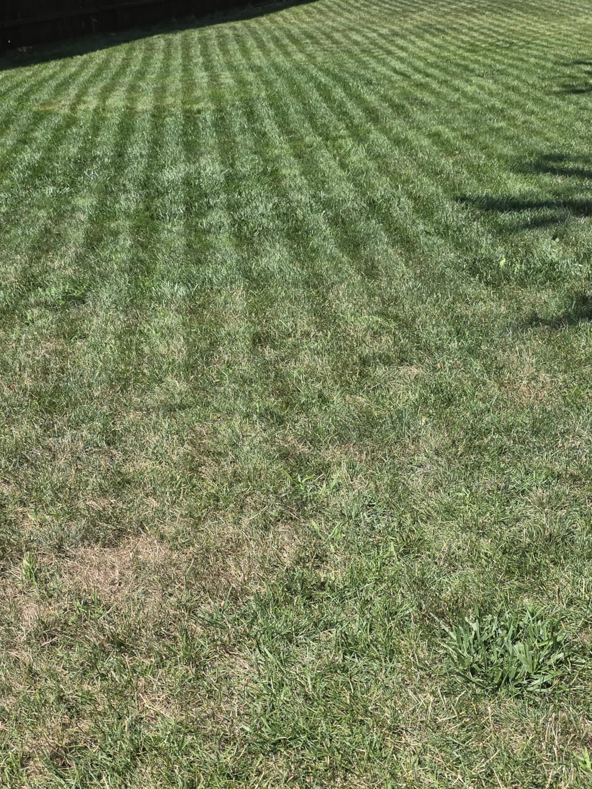 Sunseeker S4 Robot Lawn Mower, 3D LiDAR, Vision AI, 0.25 Acre, Wire-Free customer photo 1