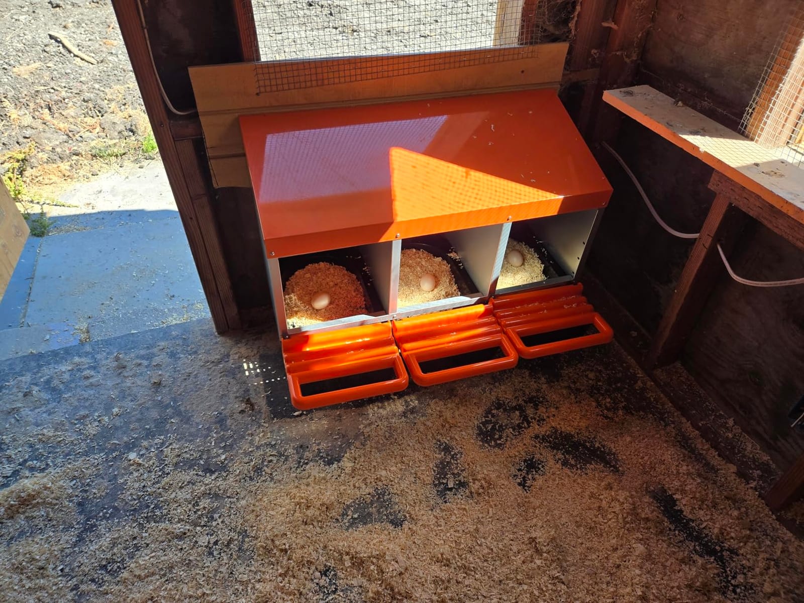 ZenxyHoC Two-Tier Chicken Nesting Box Red 6 Compartments customer photo 1