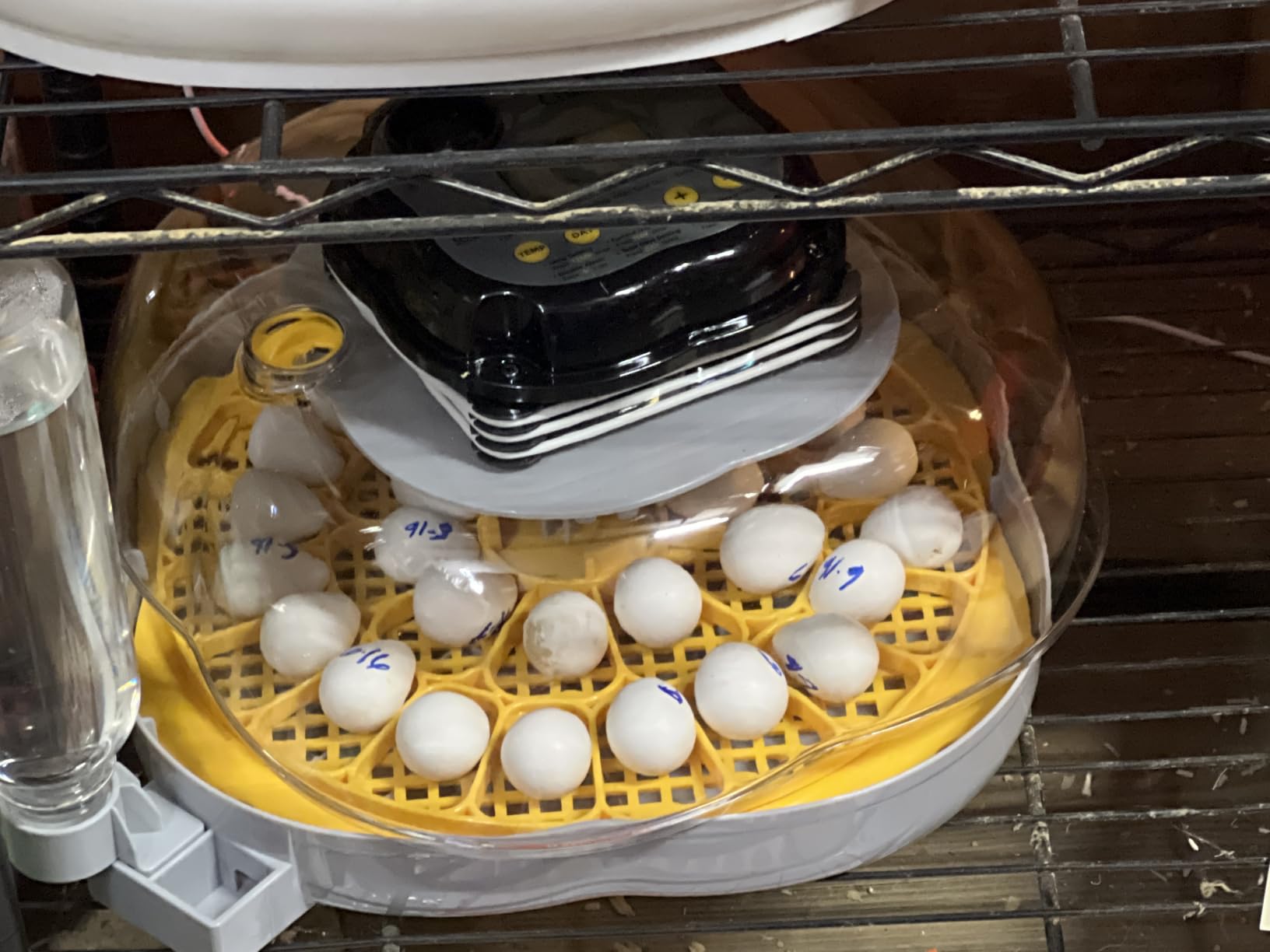 Egg Incubators for Hatching Eggs, 18 Chicken or 8 Large Eggs Incubator | Dual Egg Trays, Auto Egg Turning, Auto Water Refill, Turning Timer, Incubation Timer, 360° Viewing & Built-in Egg Candler customer photo 2