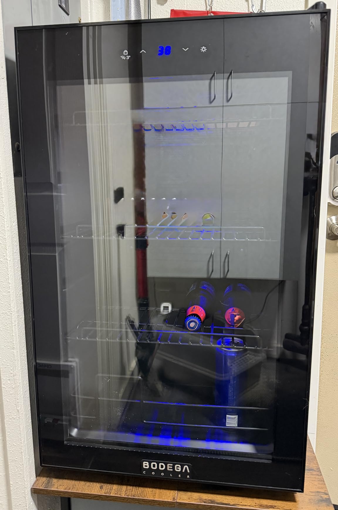 BODEGACOOLER 19.14 Cu.Ft Reach-in Freezer, Stainless Steel Single Door -10℉-10℉ Commercial Upright Freezer for Restaurant, Cafe, Bar, Garage, Frozen Food Ice Cream Meat Storage customer photo 2