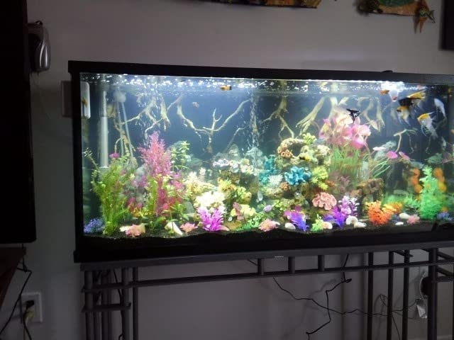 AquaMiracle Quiet Aquarium Air Pump Adjustable Airflow 200/317/475GPH customer photo 2
