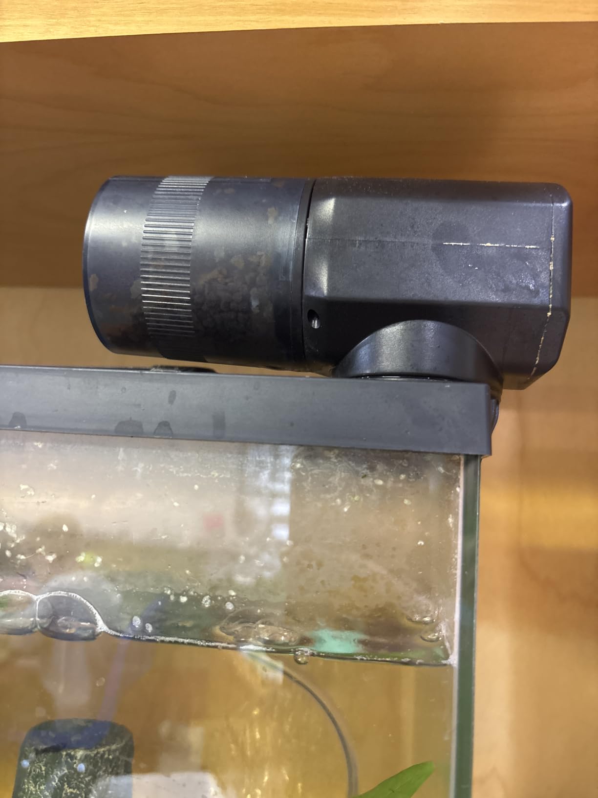 Automatic Fish Feeder Dispenser for Aquarium: Auto Precision Food Feeding 300ml Large Capacity for Powder Flakes Pellet, Battery Feeders Timer for Small Tank Turtle Betta Koi Vacation Weekend Day customer photo 1