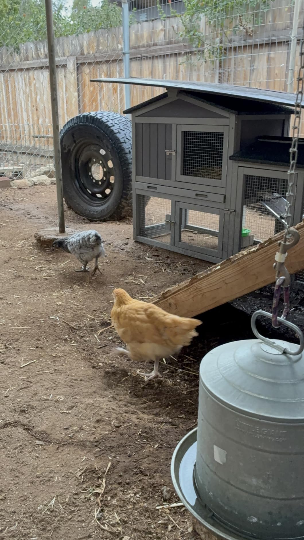 Aivituvin Chicken Coop for 2 Chickens, Outdoor Wooden Rabbit Hutch Hen House Poultry Quail Cage with Weatherproof Asphalt Roof, Leakproof Pull-Out Tray for 2 Rabbits or Small Animals customer photo 1