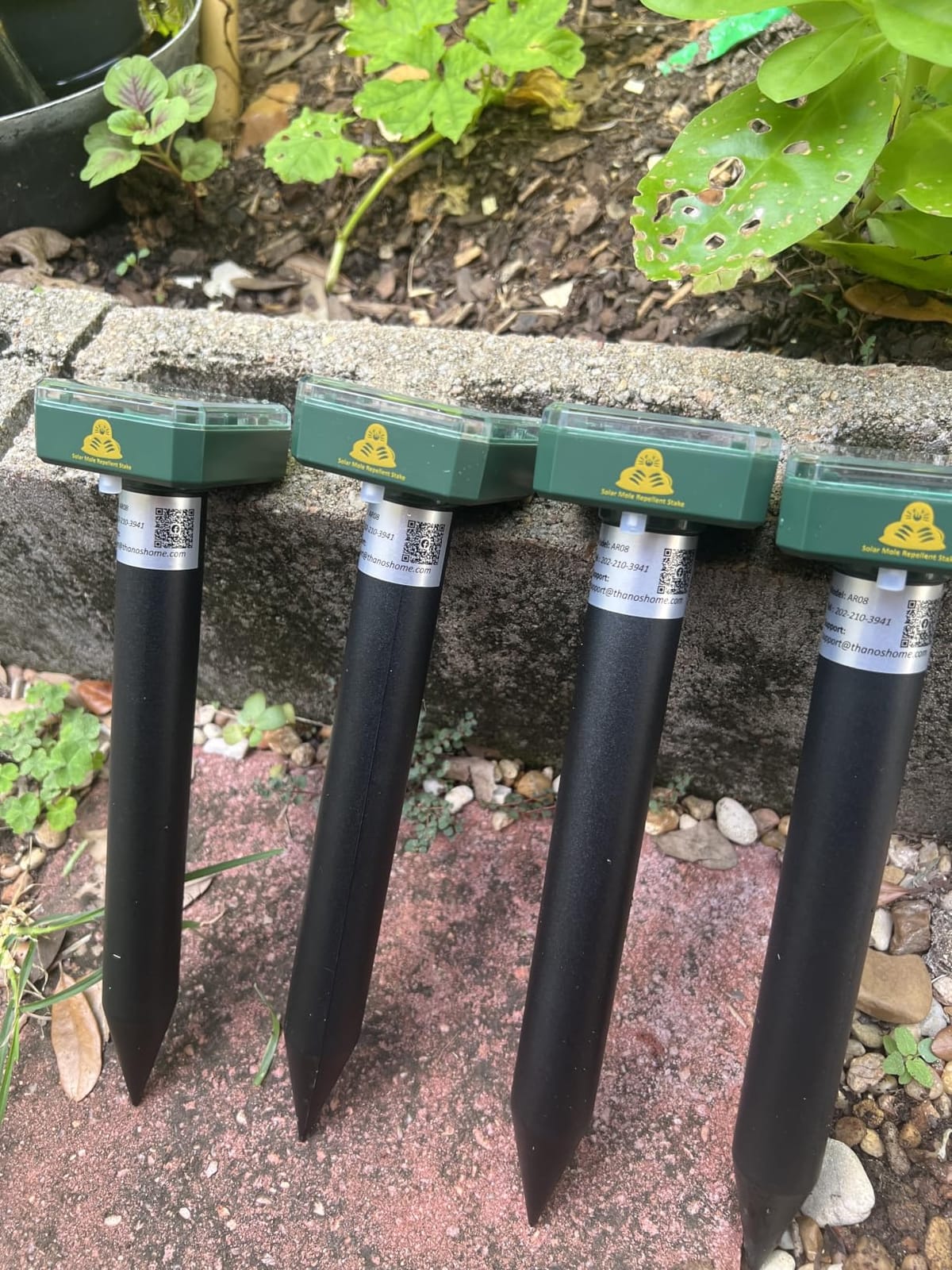 8 Packs Mole Repeller for Lawns, Solar Powered Mole Repellent Ultrasonic Vole & Gopher Deterrent, IP 65 Waterproof Humane Pest Control for Gopher Vole Snake in Lawn, Garden & Yard customer photo 1