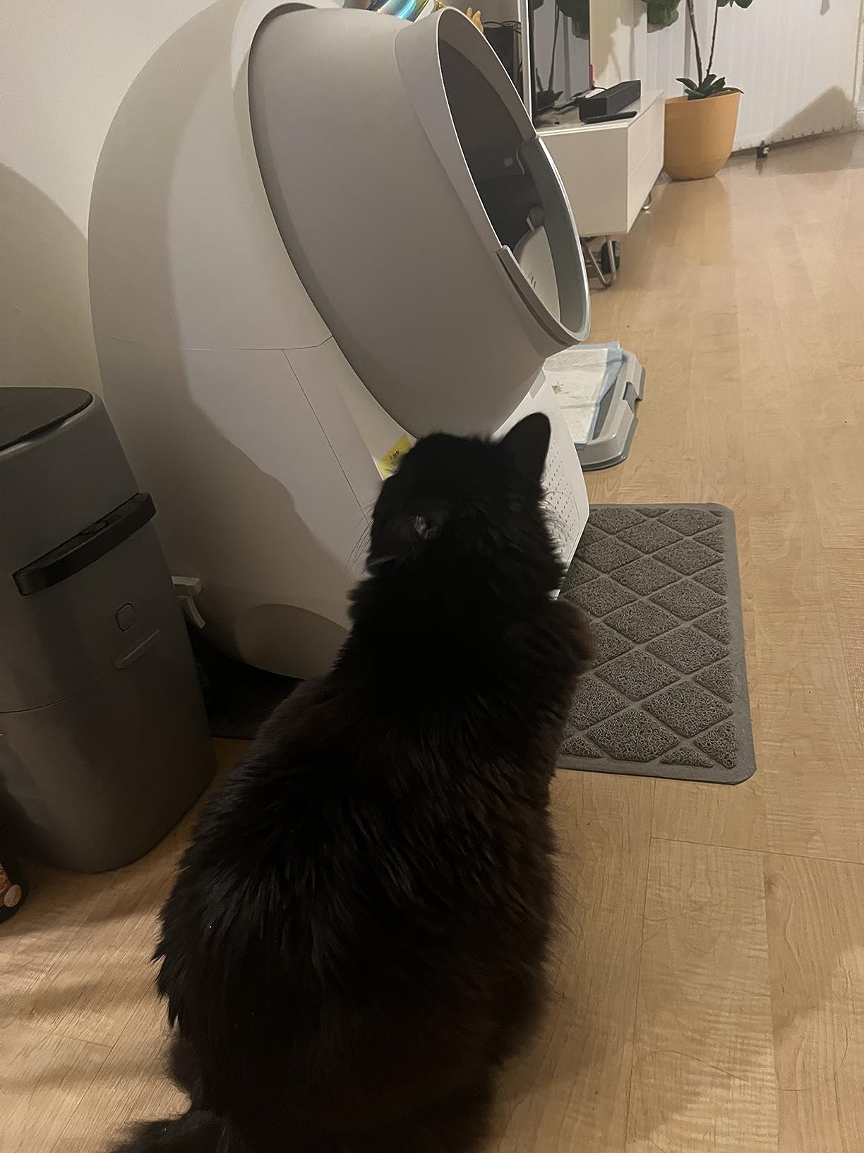 CATLINK Scoop Robot Pro Self-Cleaning Litter Box, AI Cameras, 4L Refiller | Self-Cleaning Cycles, Live Video, Multi-Cat Tracking, Remote Litter Refills, Wide Entry, 15L Waste Drawer, Dual-Band Wi-Fi customer photo 2