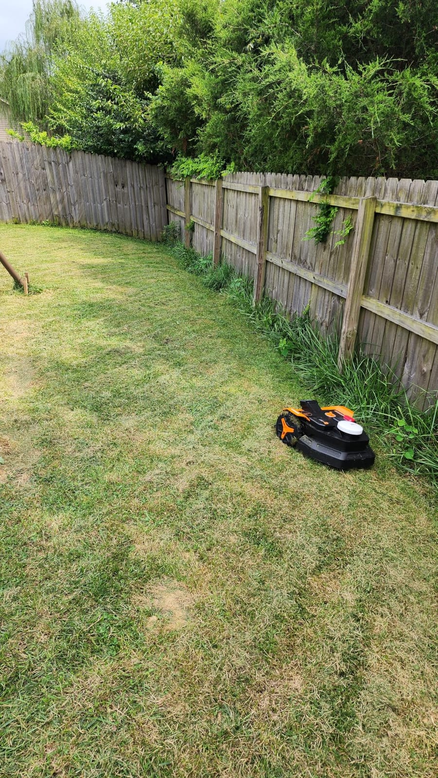WORX Robot Lawn Mower for 1/4 Acre, Wire-Free with Brushes customer photo 2