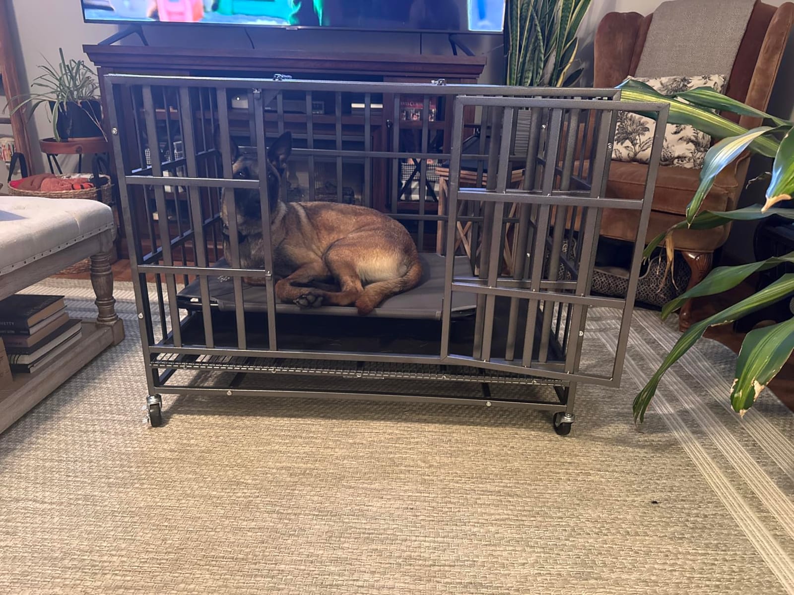 Hiwokk 42 Inch Heavy Duty Dog Crate, Indestructible Kennel customer photo 1