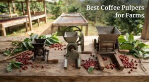Best Coffee Pulpers for Farms