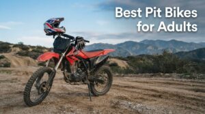 Best Pit Bikes for Adults