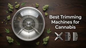 Best Trimming Machines for Cannabis