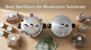 Best Sterilizers for Mushroom Substrate
