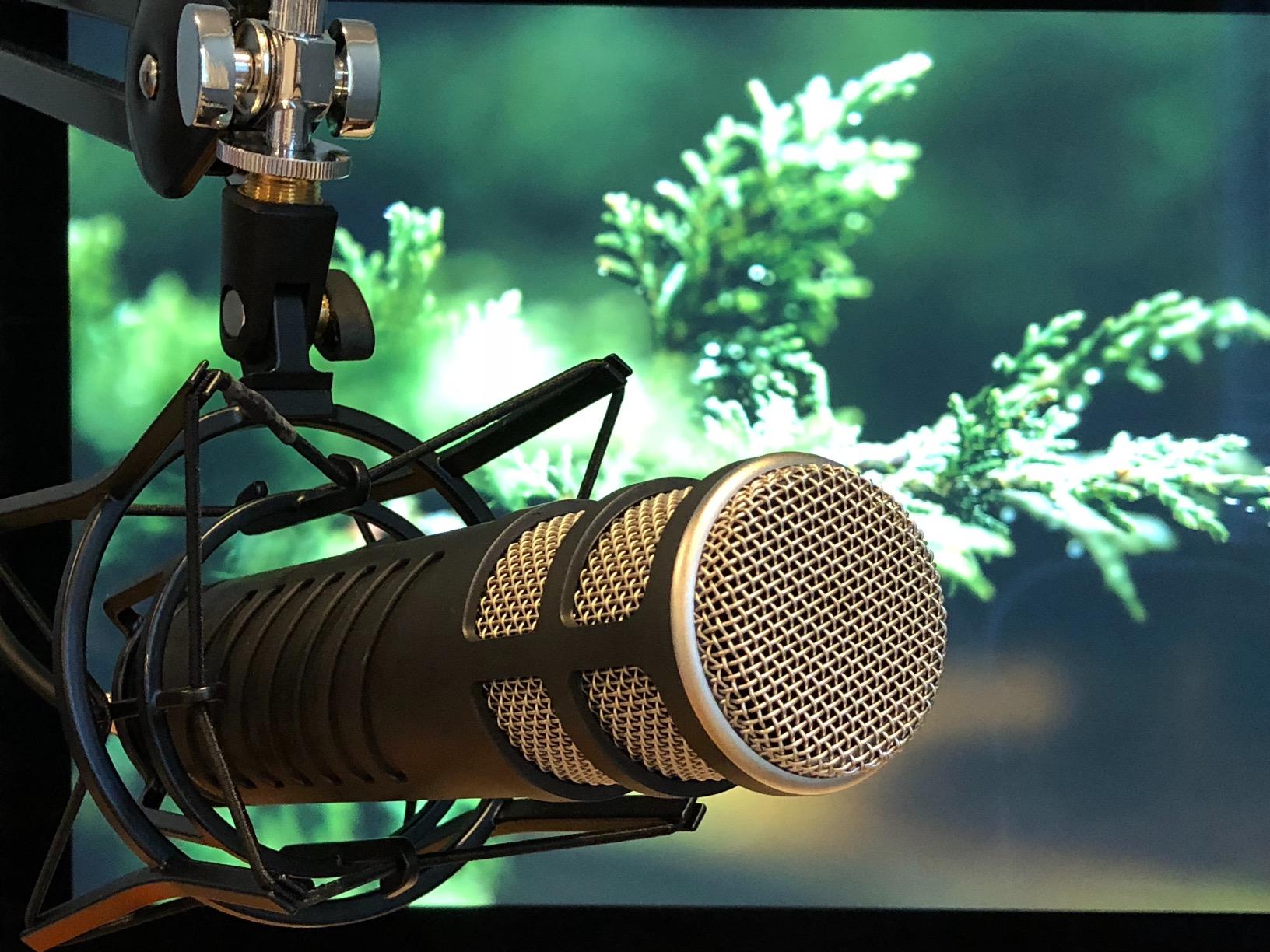 RØDE Microphones Procaster Broadcast Dynamic Vocal Microphone customer photo 2