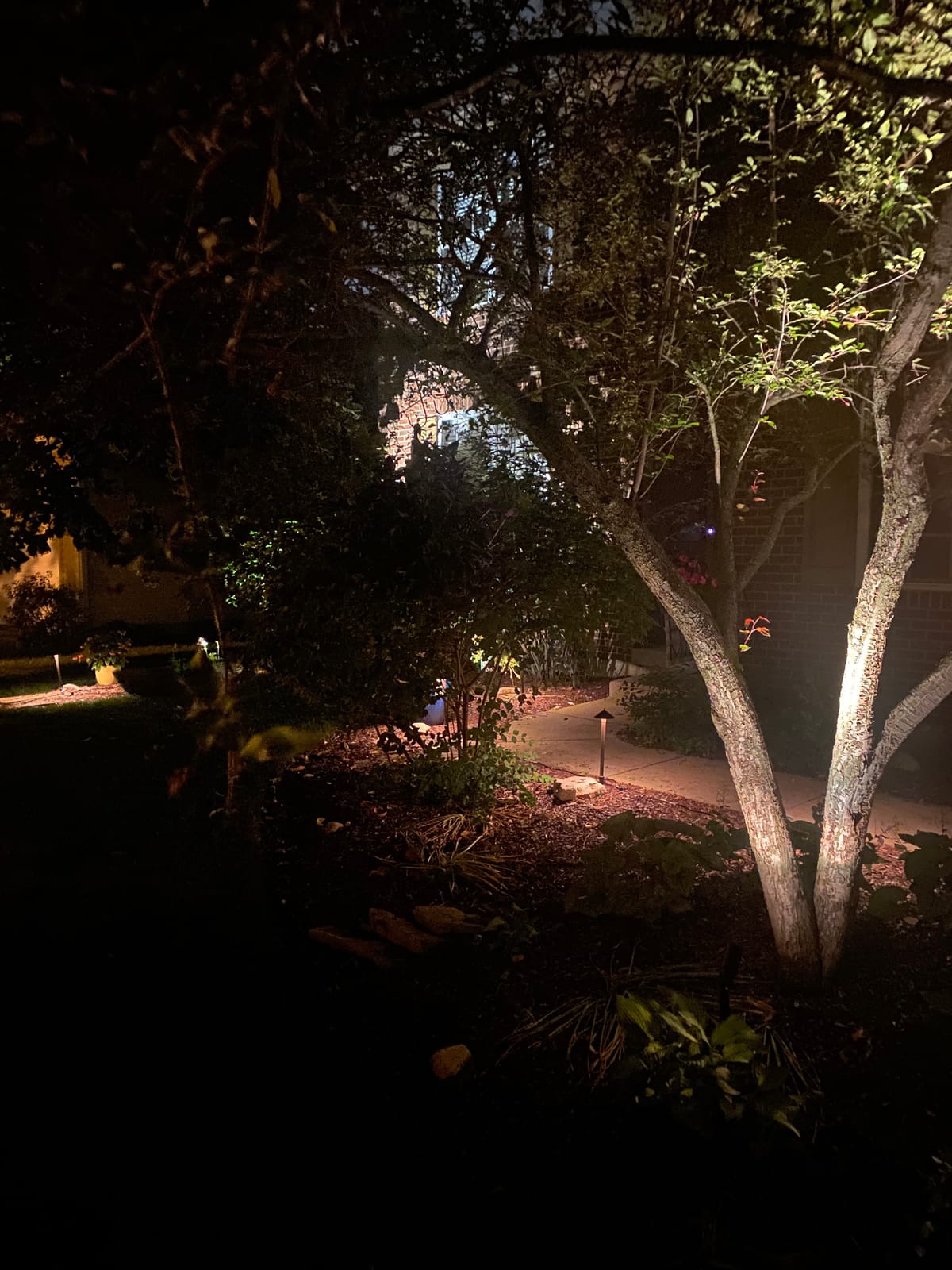 GOODSMANN 10 Pack Low Voltage Landscape Lighting Kit with 150W Transformer customer photo 2