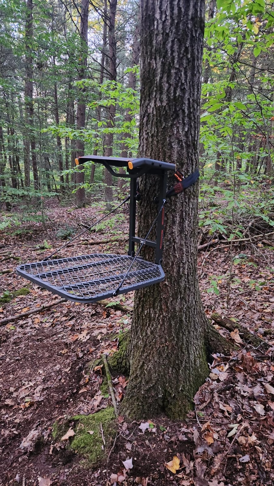 BIG GAME 1-Person Hang-On Treestand with Flex-Tek Seat and Steel Construction customer photo 1