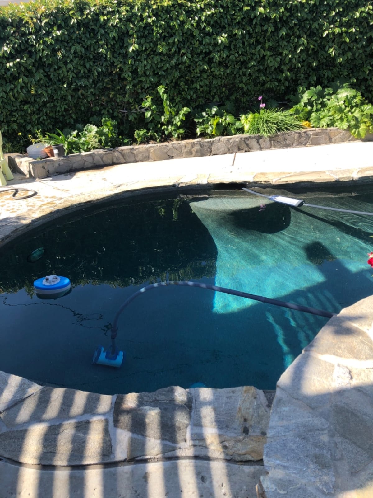 Hayward AquaNaut 200 Suction Pool Cleaner, Automatic Pool Vacuum (2 Wheel) customer photo 1