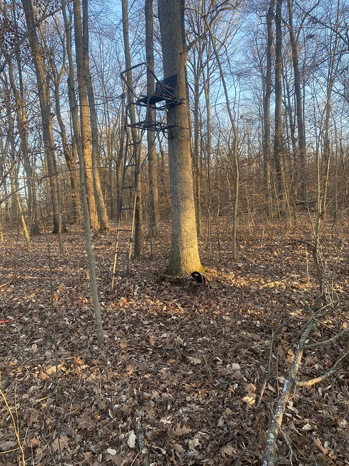 BIG GAME 1 Person Ladder Treestand for Deer Hunting, 17.5 Ft, 300 Lb, Black customer photo 2