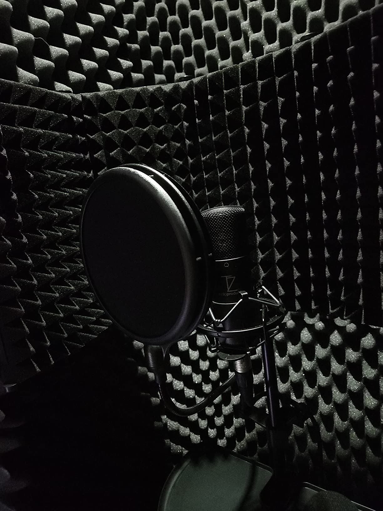 TZ Stellar X2 Large Diaphragm Cardioid Condenser XLR Microphone customer photo 2