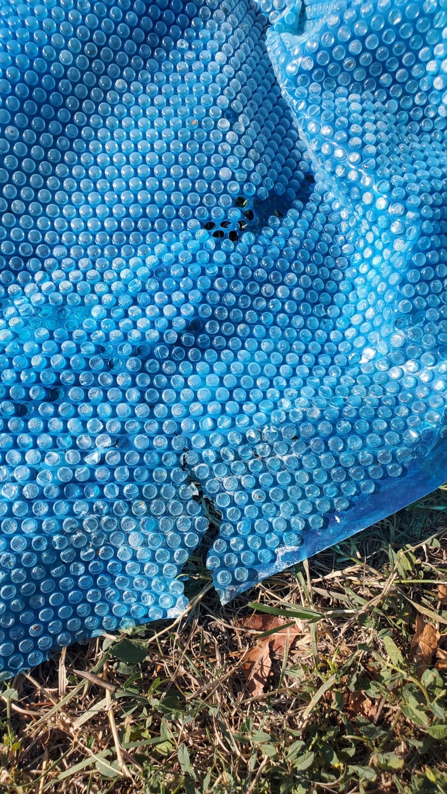 Doheny's Clear-Tek Micro Bubble Solar Pool Cover for Above Ground Swimming Pools | Increase Solar Energy Absorption, Retain Heat, Reduce Evaporation, Reduce Heat Loss & Save, 18 ft Round Blue 1600 customer photo 1