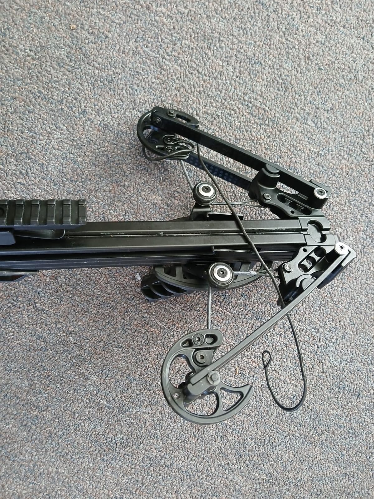 BALLISTA BAT Compound Crossbow for Hunting, Bowfishing and Target, 300 FPS customer photo 1
