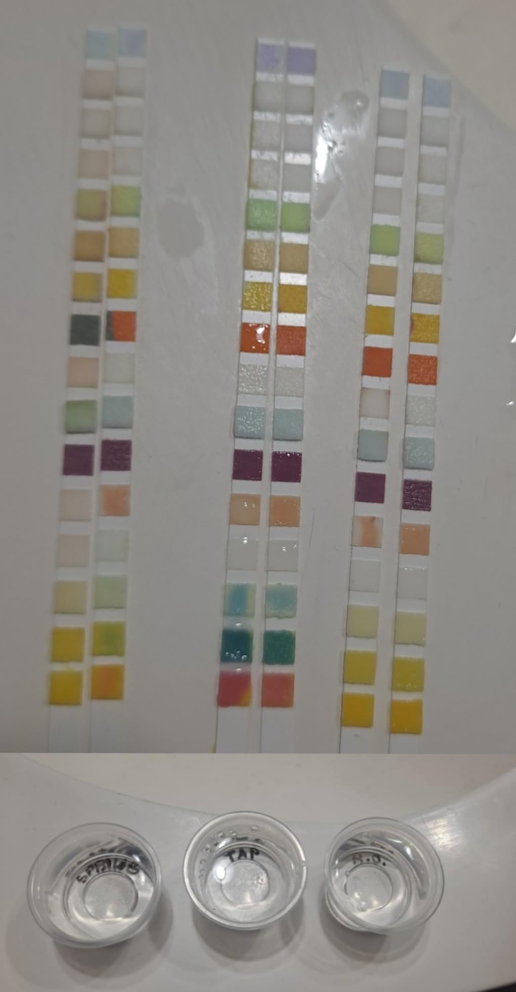 Bestprod All-New 21 in 1 Drinking Water Testing Kit Strips, Home Tap and Well Water Test Kit for Hardness, Lead, Iron, Copper, Chlorine, Fluoride customer photo 2