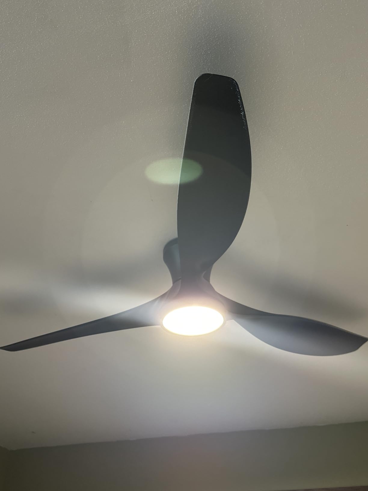 TALOYA 52 Inch Ceiling Fans with Led Lights Remote Control Flush Mount Low Profile for Bedroom Farmhouse Patio Outdoor Living Room Kitchen Dining Room,DC Motor,Reversible,Buzzer ON/Off,Black Walnut customer photo 2