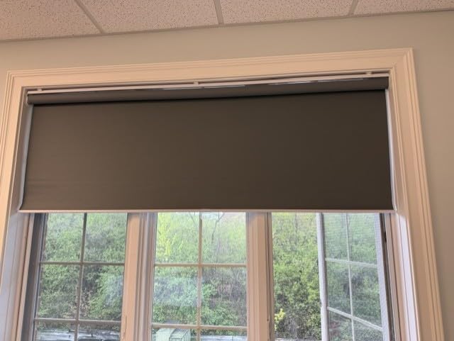RAUBAY 59.8 x 86.6in Retractable Pull Down Green Screen Chroma Key Backdrop customer photo 1