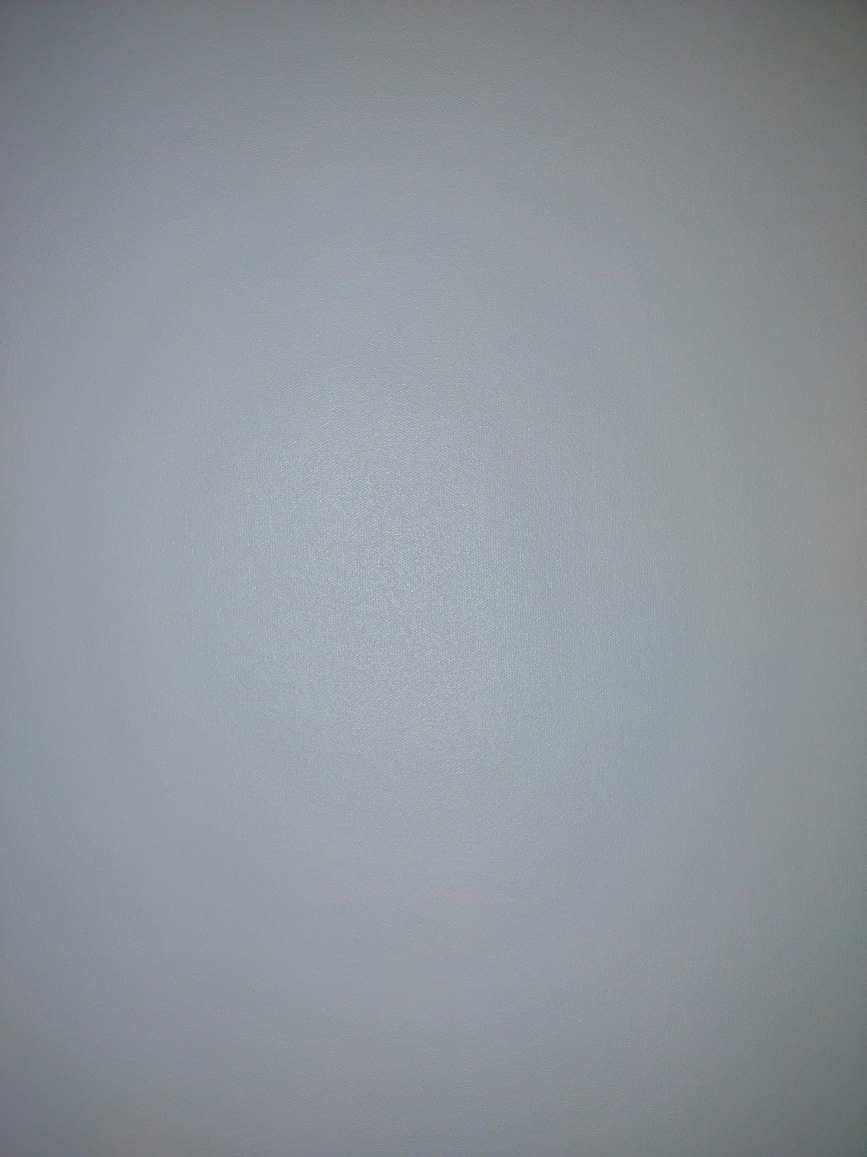 RAUBAY 59.8 x 86.6in Retractable Pull Down Green Screen Chroma Key Backdrop customer photo 2