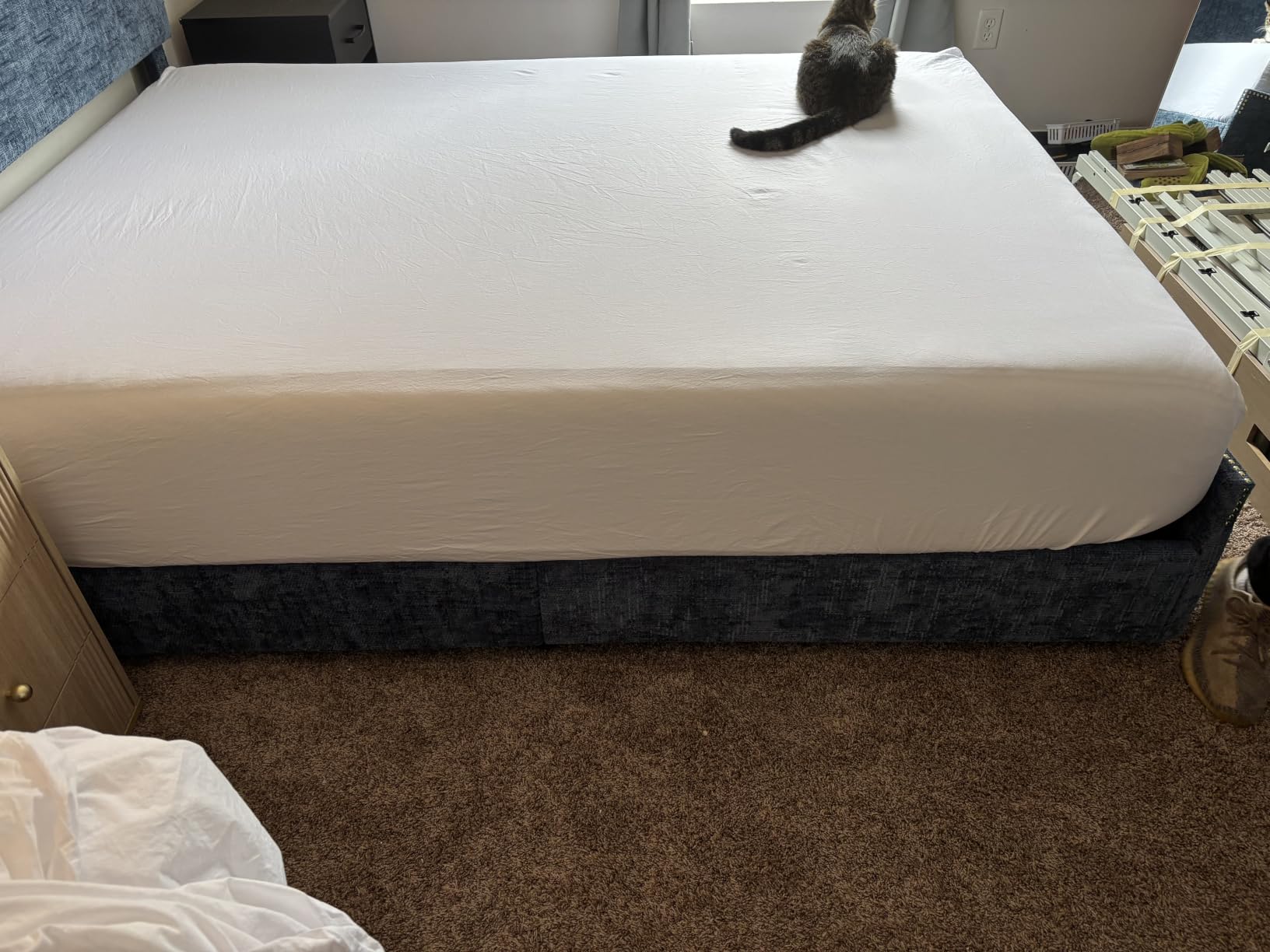ZOYER 100% Cotton Queen Sheets, Percale Weave, Fairy Meadows customer photo 1