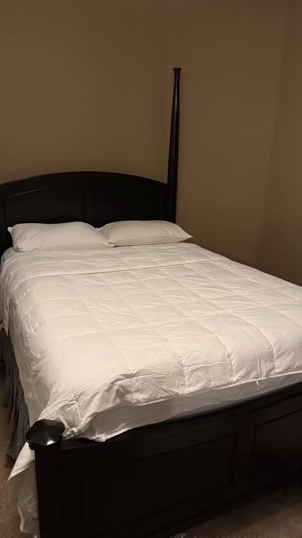 Globon Summer Down Comforter King Size,Extra Lightweight Duvet Insert,White customer photo 2