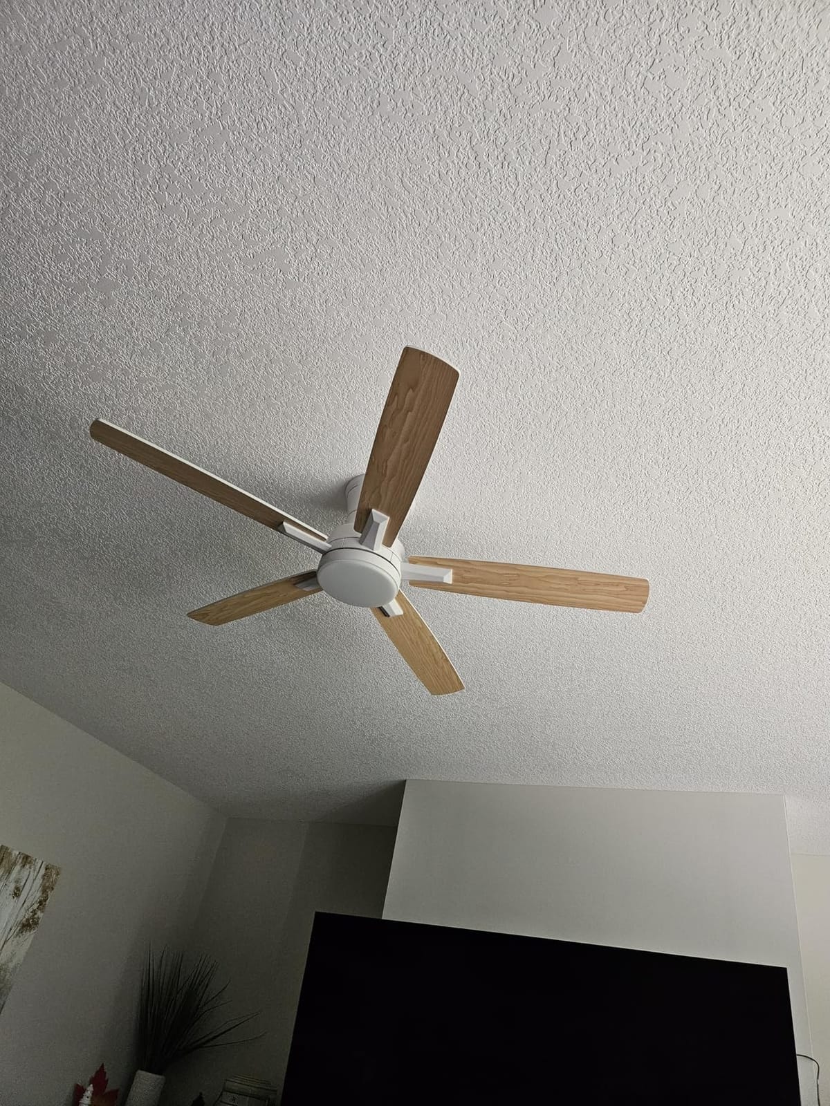 52 Inch Flush Mount Brushed Nickel Ceiling Fan with Light and Remote Control.Noiseless,Dimmable,3CCT,6 Speeds Reversible, Low Profile DC Ceiling Fans for Indoor or Covered Outdoor Use,ETL Listed customer photo 1