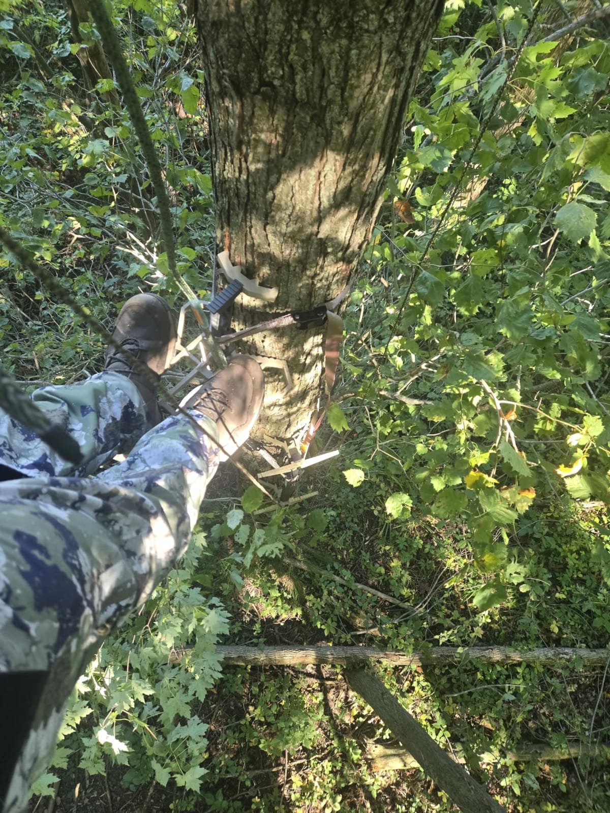 XOP Full RUT - Full Mobile Saddle Hunting System - Invader Saddle Platform, Mutant Saddle Harness, 4 Pack of X2 Sticks, J Hook Stick Carrying System, Striker Pack (2025) customer photo 1